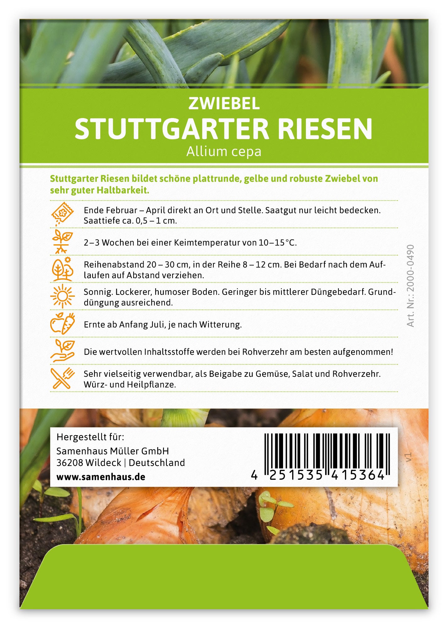  Zwiebel Stuttgarter Riesen (100 Stück)