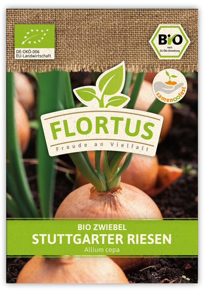  BIO Zwiebel Stuttgarter Riesen (100 Stück)