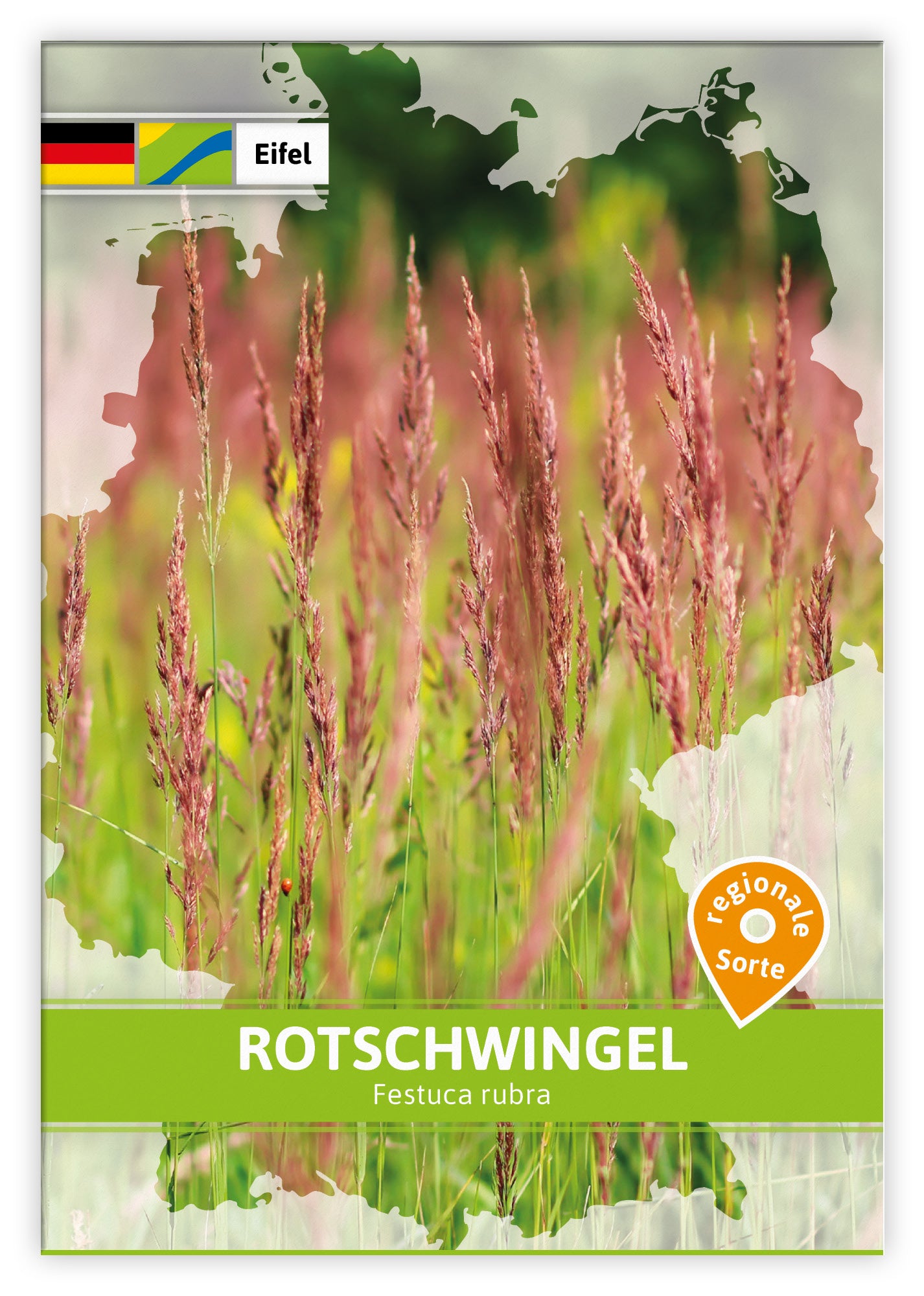 Rotschwingel (Regionale Sorte Eifel) (100 Tütchen)