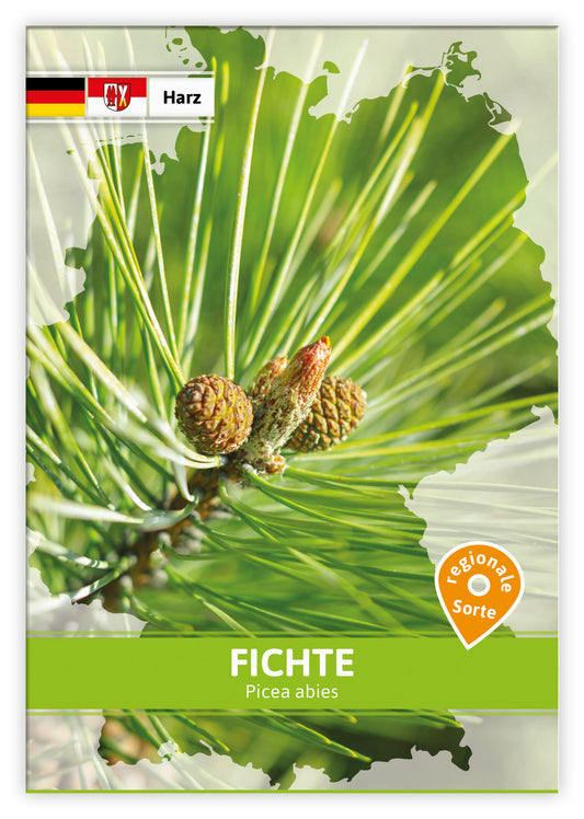  Fichte (Regionale Sorte Harz) (100 Tütchen)
