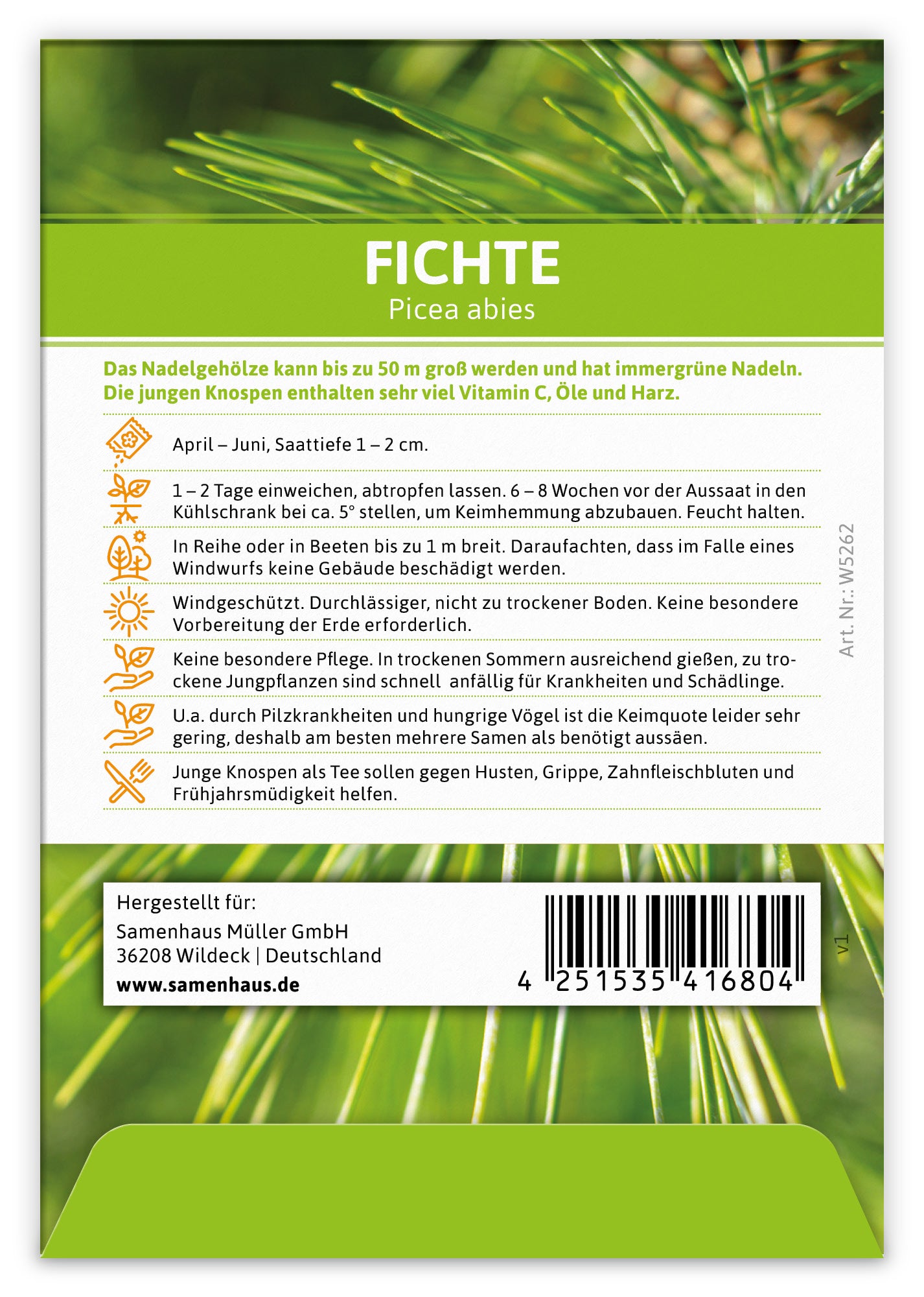  Fichte (Regionale Sorte Harz) (100 Tütchen)