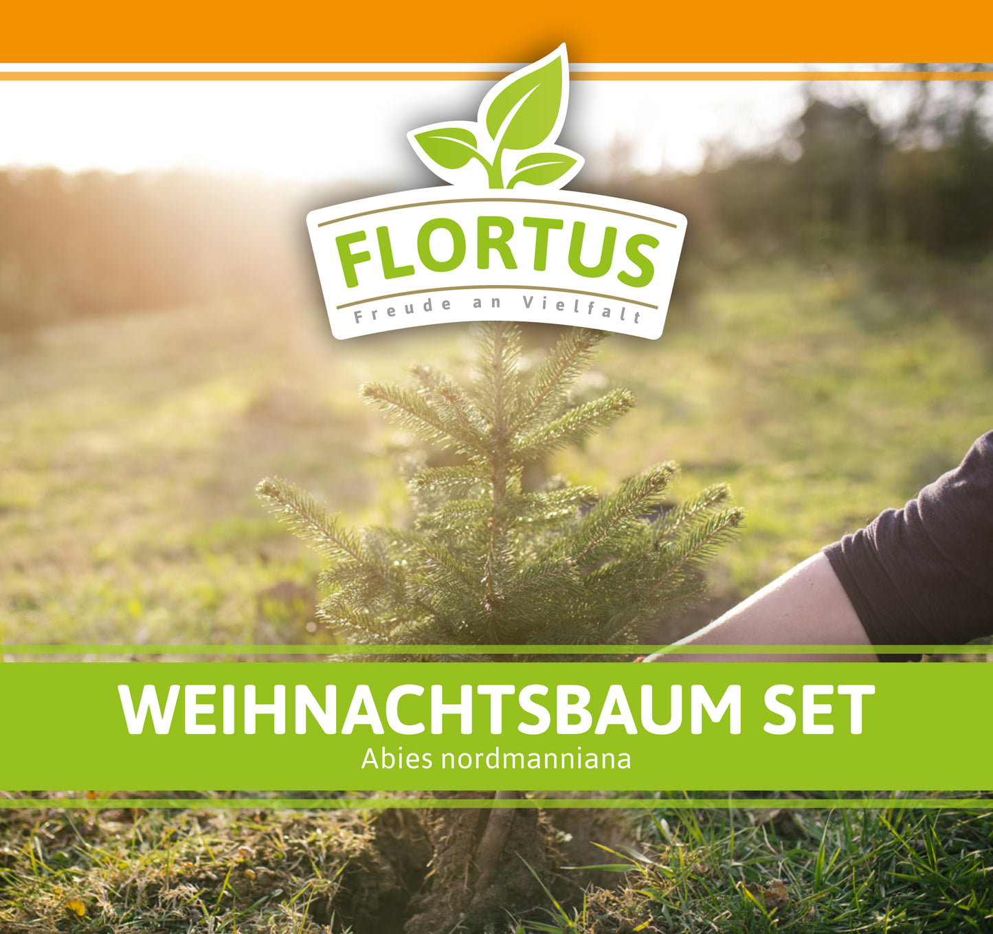  Weihnachtsbaum Set
