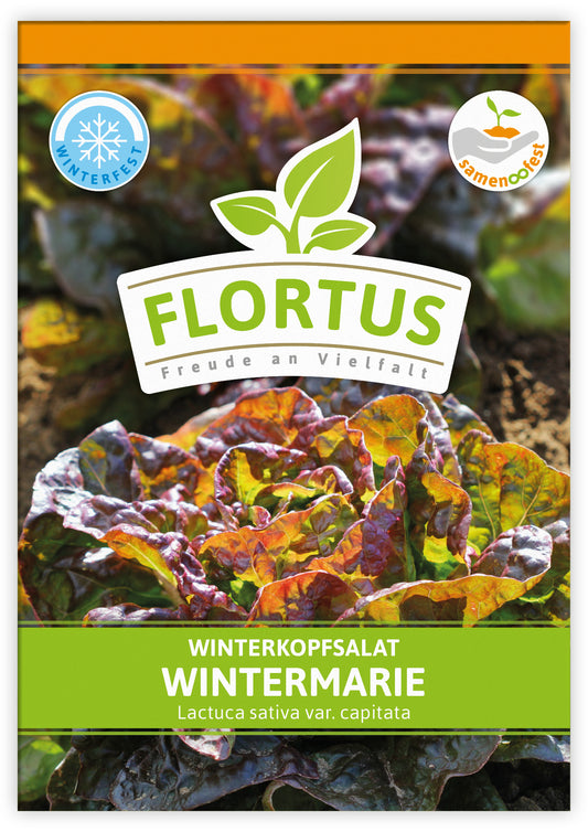  Winterkopfsalat Wintermarie (100 Tütchen)