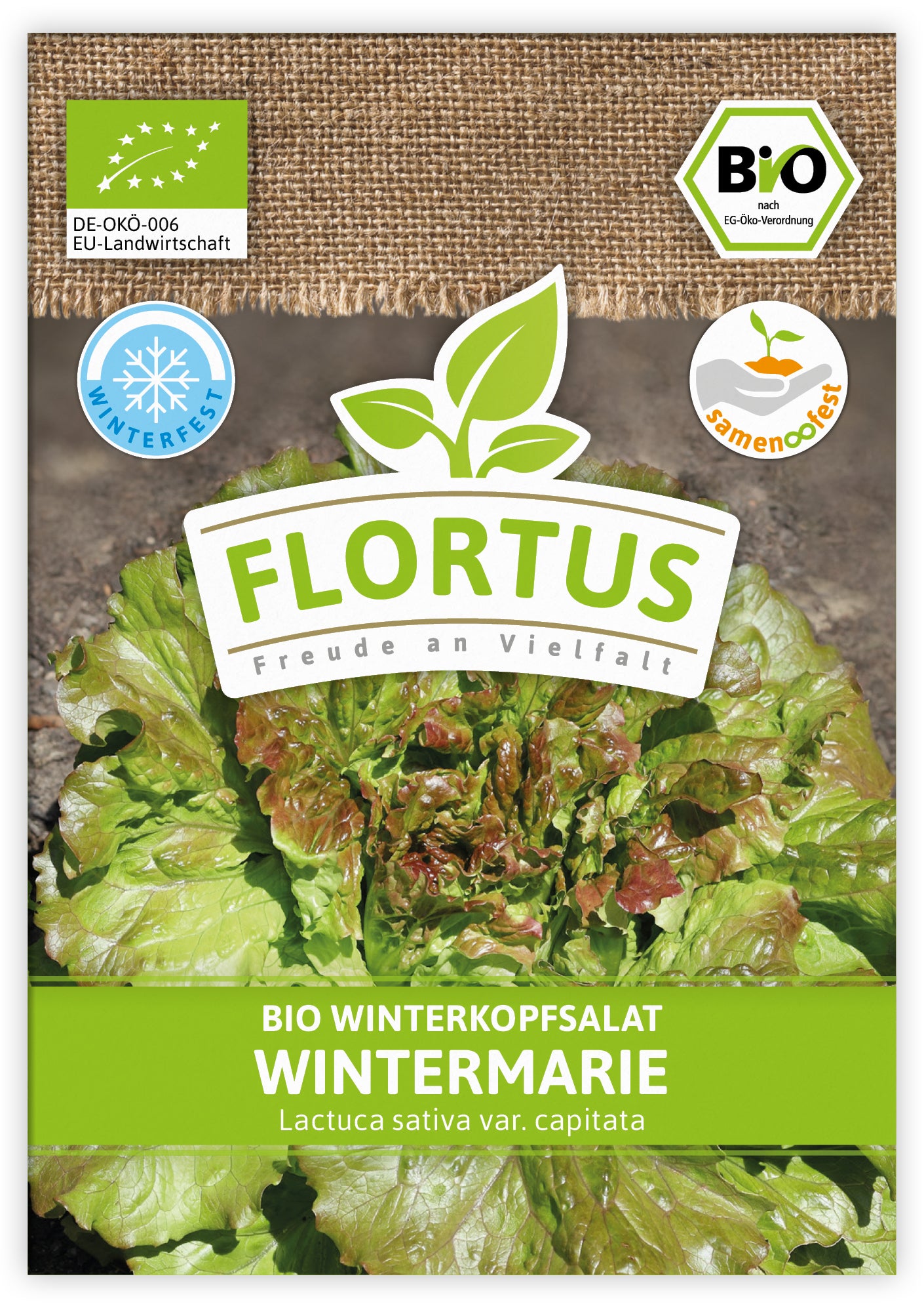  BIO Winterkopfsalat Wintermarie