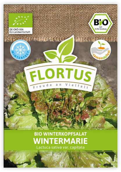  BIO Winterkopfsalat Wintermarie