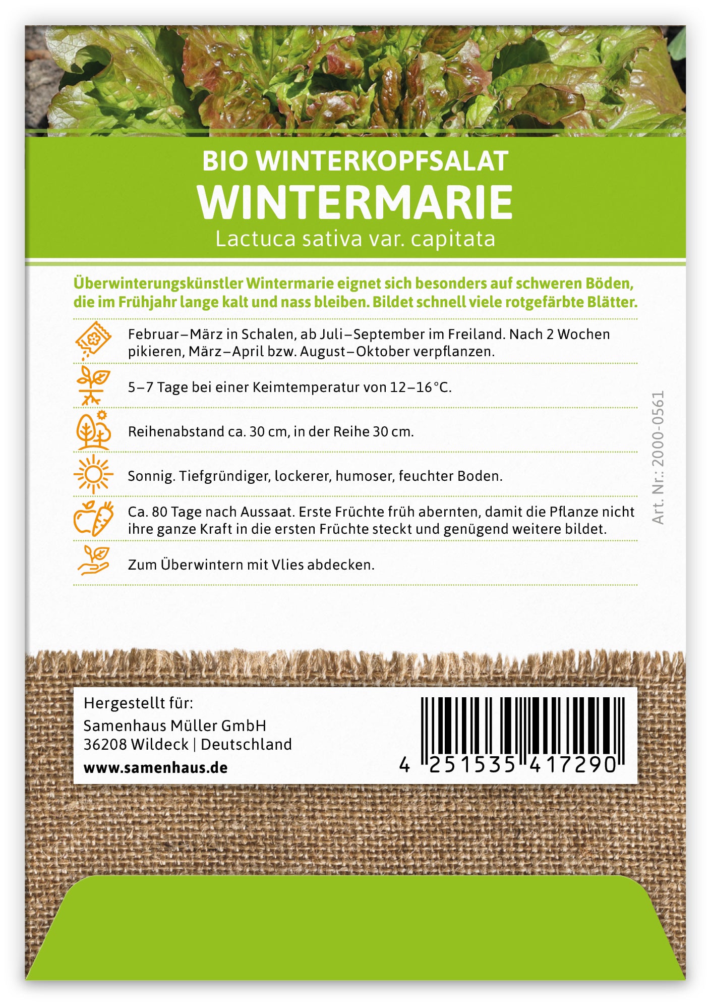  BIO Winterkopfsalat Wintermarie