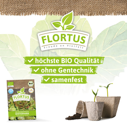  BIO Winterkopfsalat Wintermarie