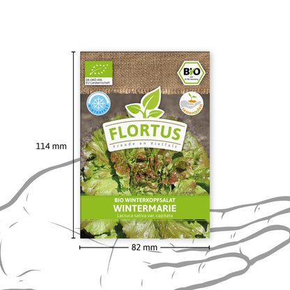  BIO Winterkopfsalat Wintermarie
