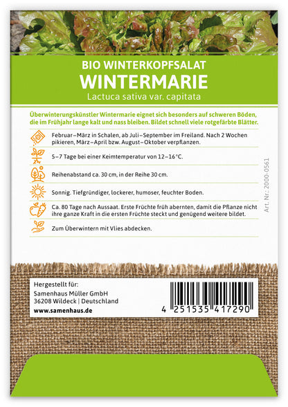  BIO Winterkopfsalat Wintermarie (100 Tütchen)