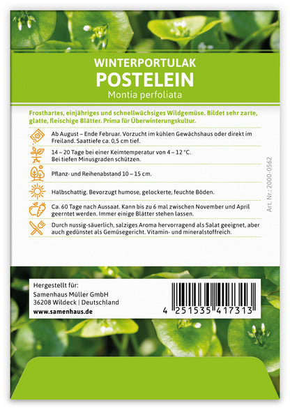  Winterportulak Postelein (100 Tütchen)