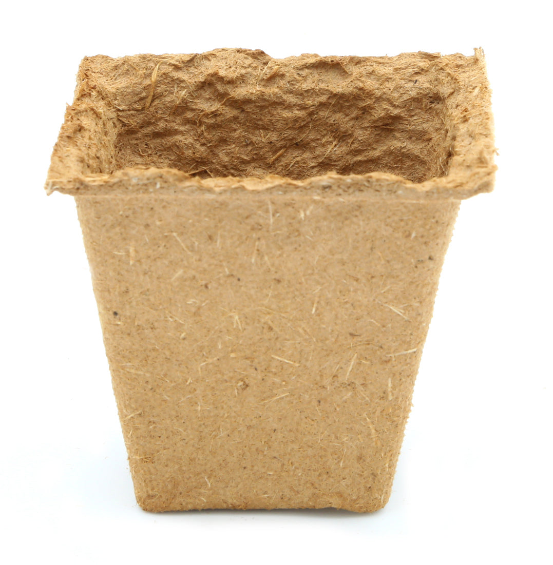  6 X 6 Cm Anzuchttopf Quadratisch Auf Holzfaser Basis