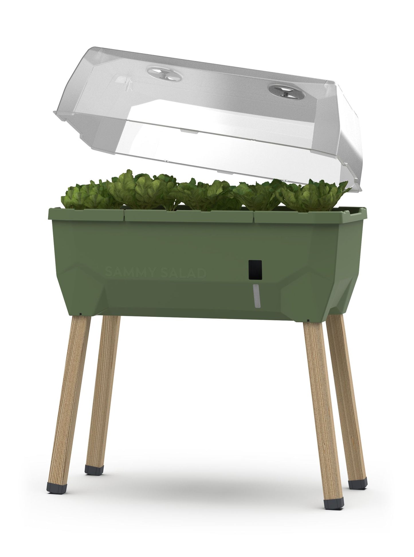  SAMMY SALAD Hochbeet Dunkelgrün