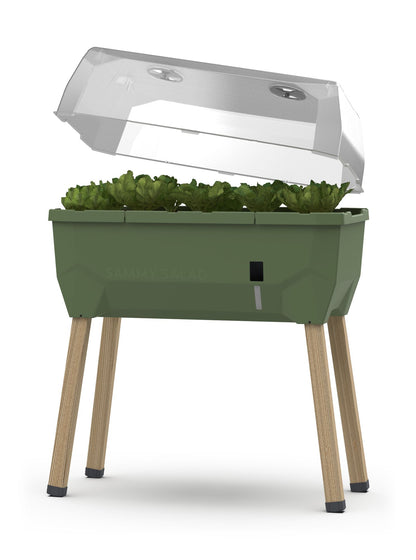  SAMMY SALAD Hochbeet Dunkelgrün