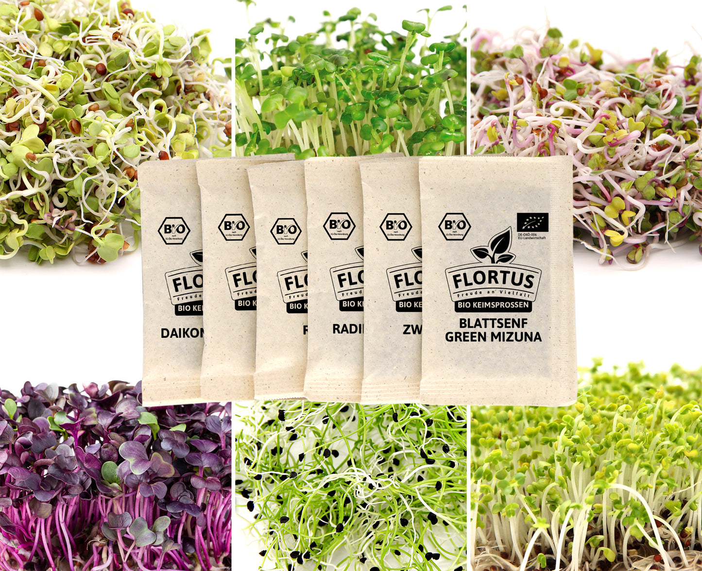  BIO Keimsprossen Set Scharf (6 Sorten)