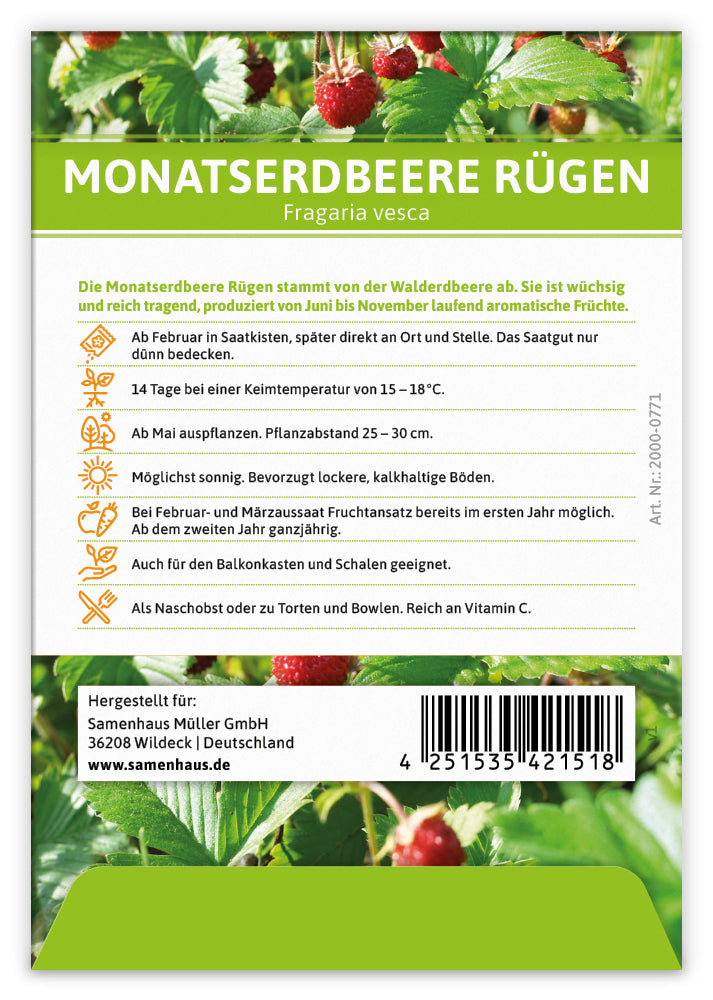  Monatserdbeere Rügen (100 Tütchen)