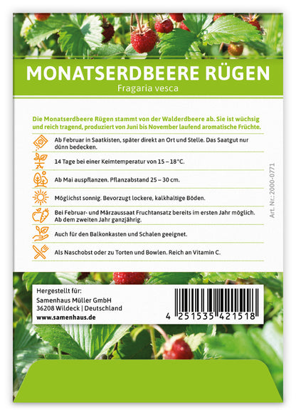  Monatserdbeere Rügen (100 Tütchen)