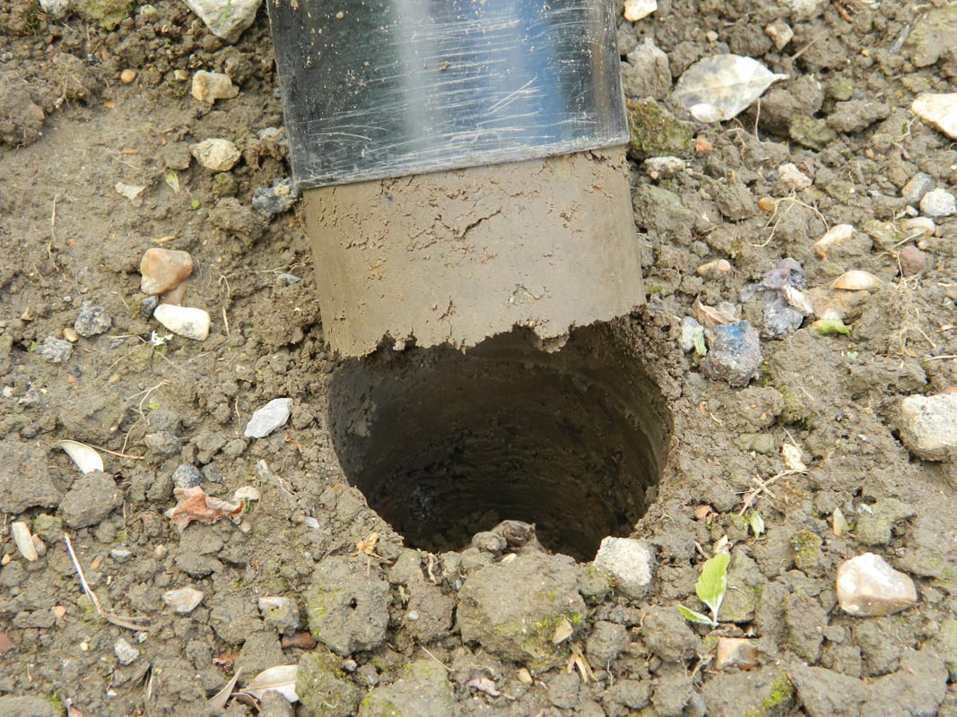  28 X 26 X 7,5 Cm Kurzstieliger Blumenzwiebel Pflanzer