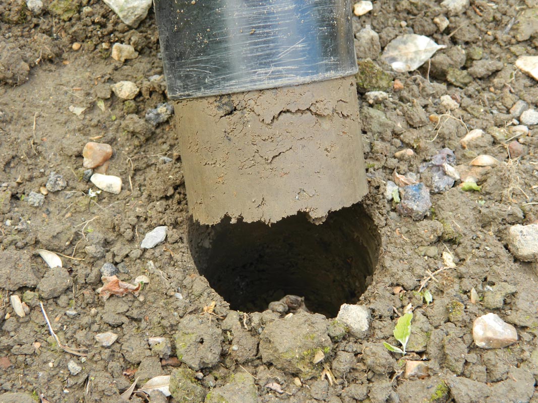  88 X 30,5 X 7,5 Cm Langstieliger Blumenzwiebel Pflanzer