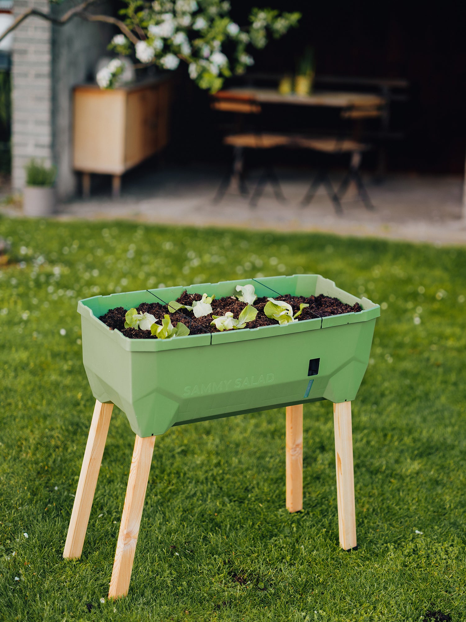  SAMMY SALAD Hochbeet Dunkelgrün (ohne Haube)