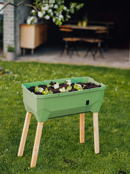  SAMMY SALAD Hochbeet Dunkelgrün (ohne Haube)