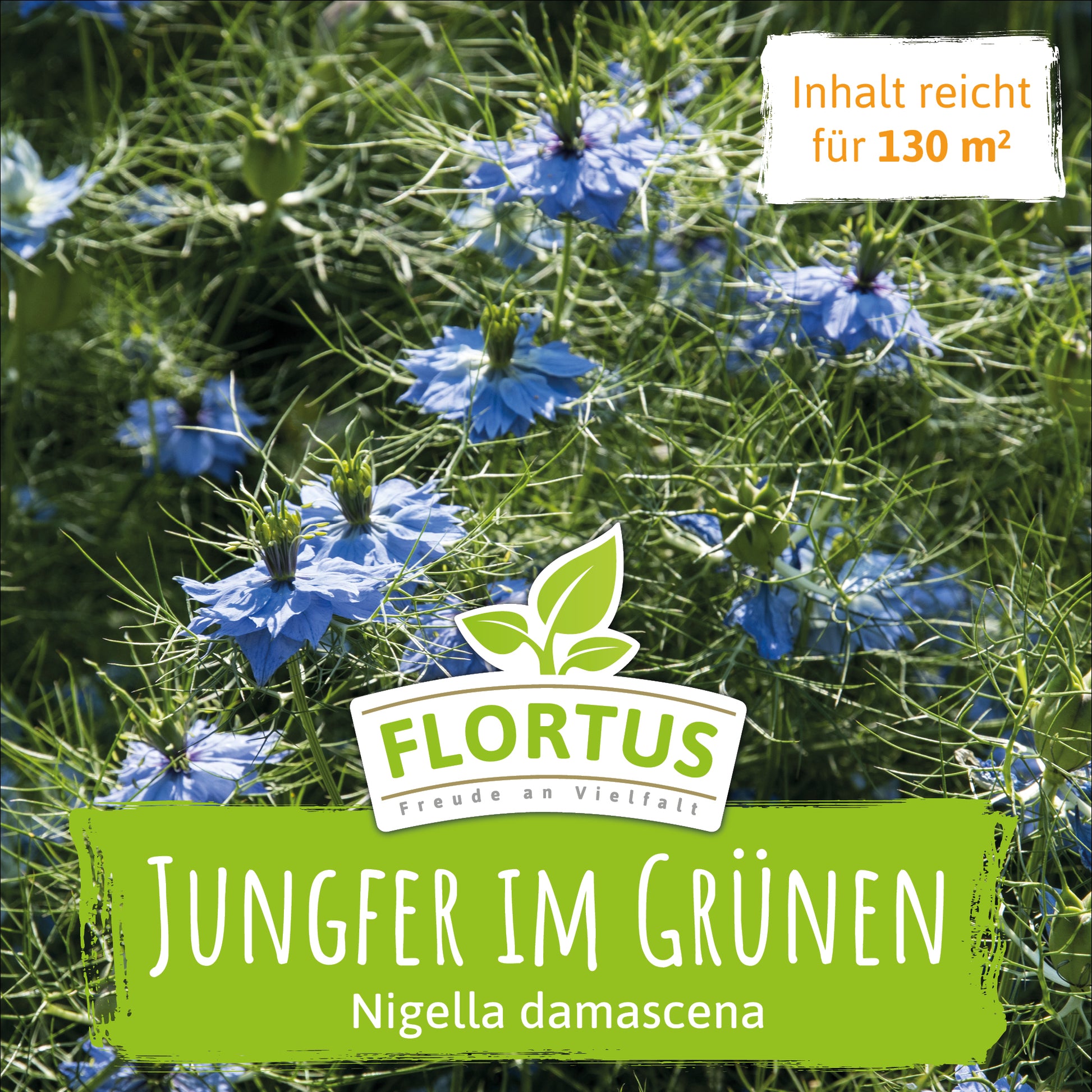  Wiesenblume Jungfer Im Grünen (100 G)