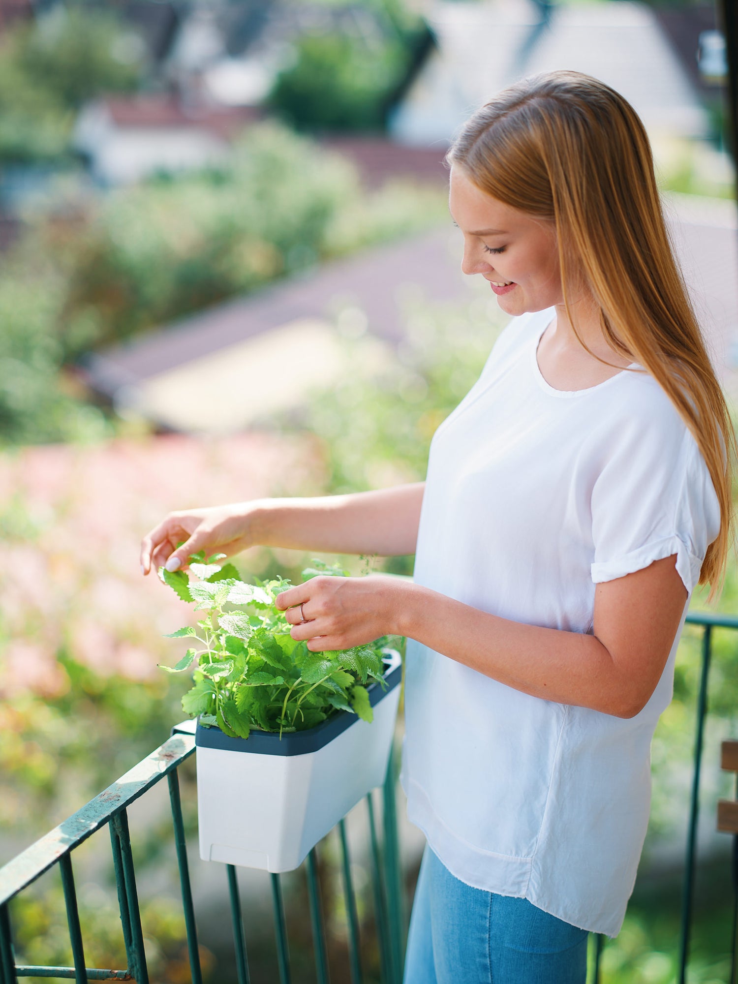  HARRY HERBS Kräutertopf Weiß