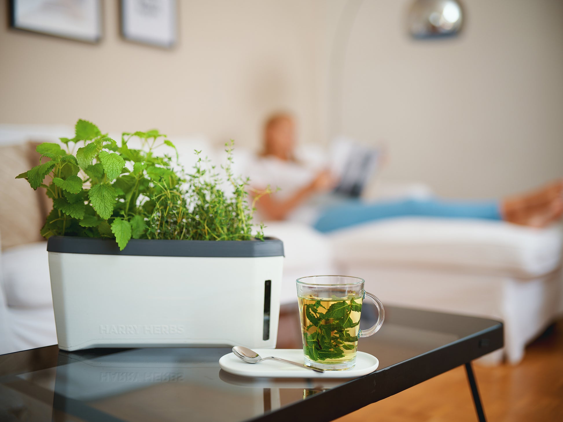  HARRY HERBS Kräutertopf Weiß