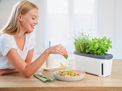  HARRY HERBS Kräutertopf Weiß