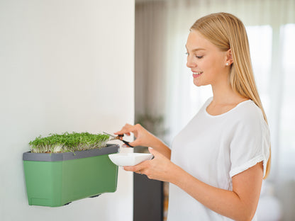  HARRY HERBS Kräutertopf Dunkelgrün