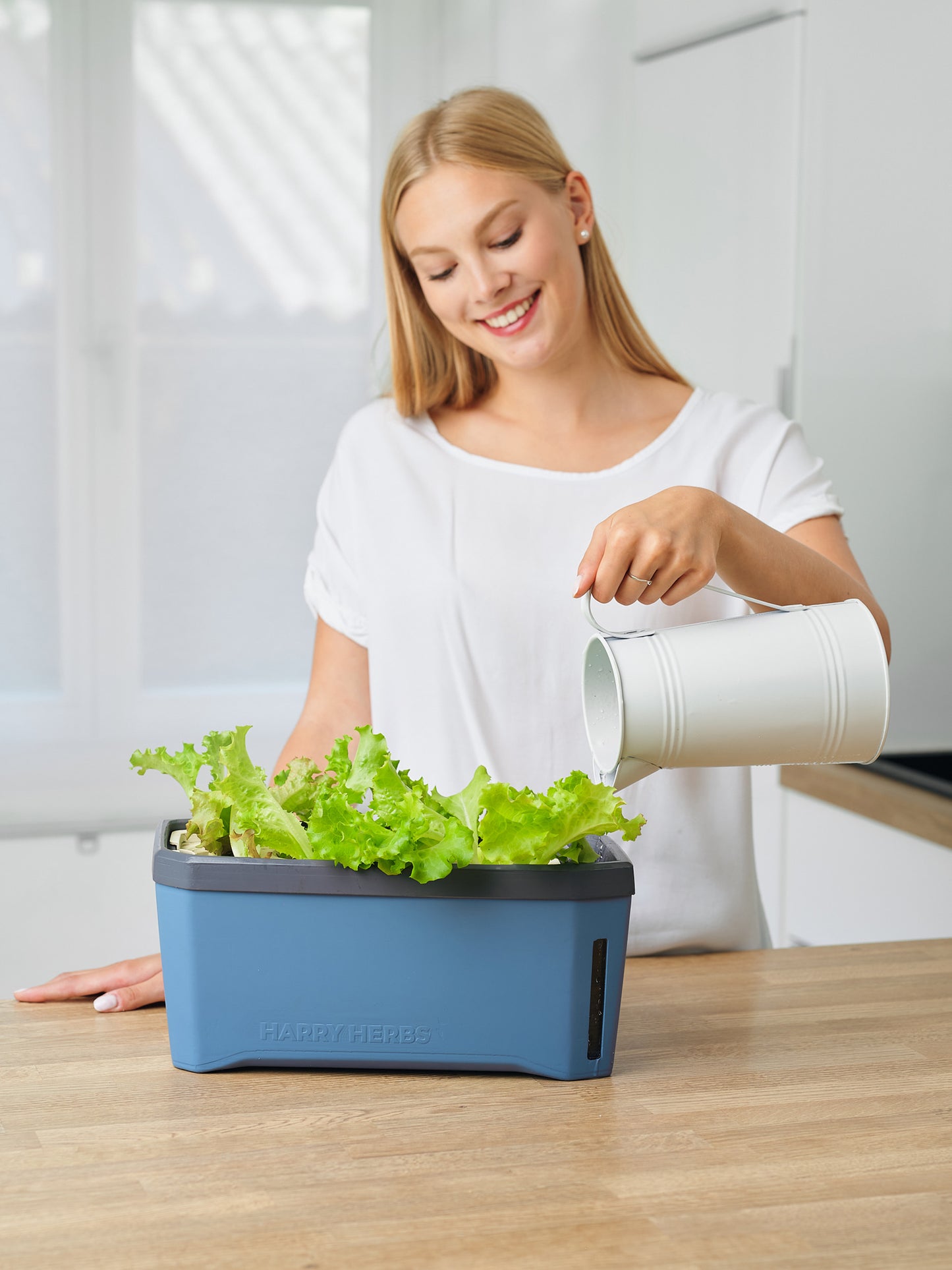  HARRY HERBS Kräutertopf Blau