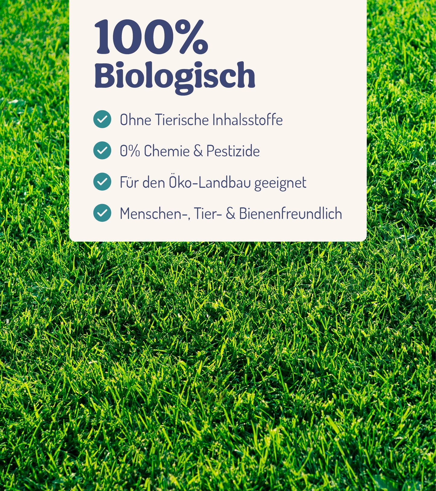  RasenWunder - Für Rasenpflanzen (250 Ml)