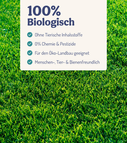  RasenWunder - Für Rasenpflanzen (250 Ml)