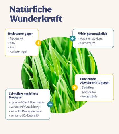  RasenWunder - Für Rasenpflanzen (250 Ml)
