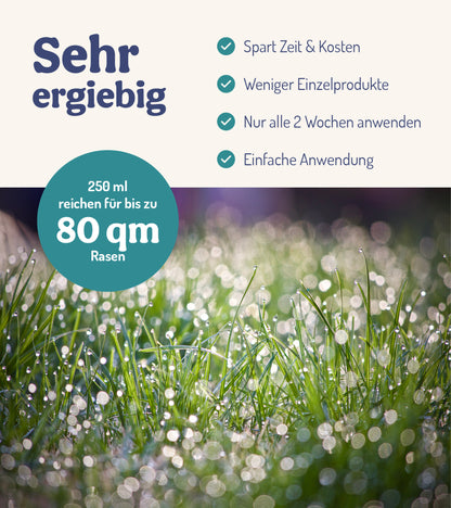 RasenWunder - Für Rasenpflanzen (250 Ml)