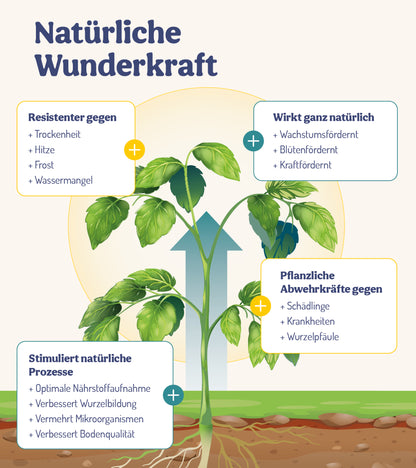  GartenWunder - Für Gartenpflanzen (500 Ml)