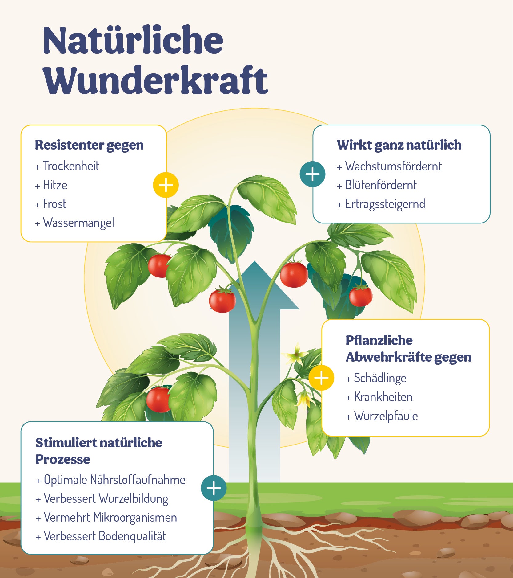  ErnteWunder - Für Obst & Gemüse (500 Ml)