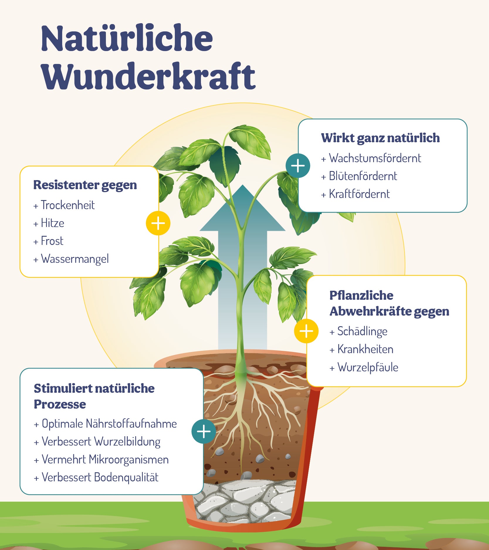  BalkonWunder - Für Topf- & Kübelpflanzen (500 Ml)