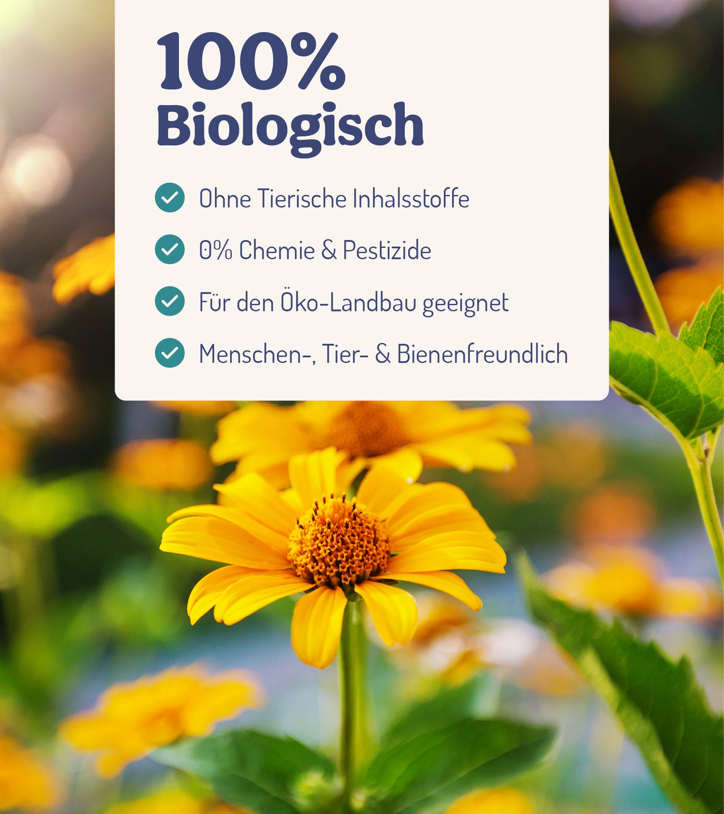  BalkonWunder - Für Topf- & Kübelpflanzen (500 Ml)