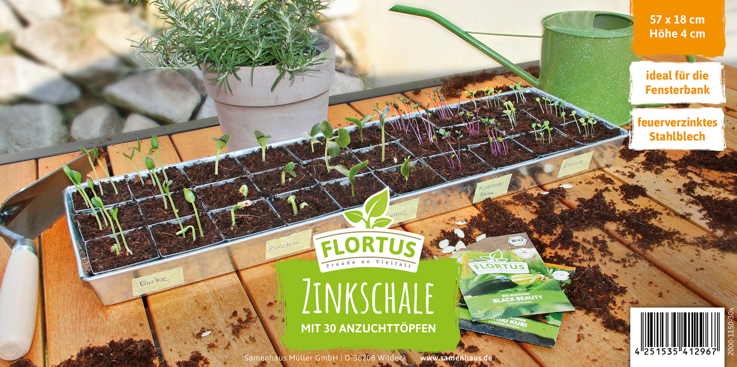  Zinkschale Mit Anzuchttöpfen (30 Stück)