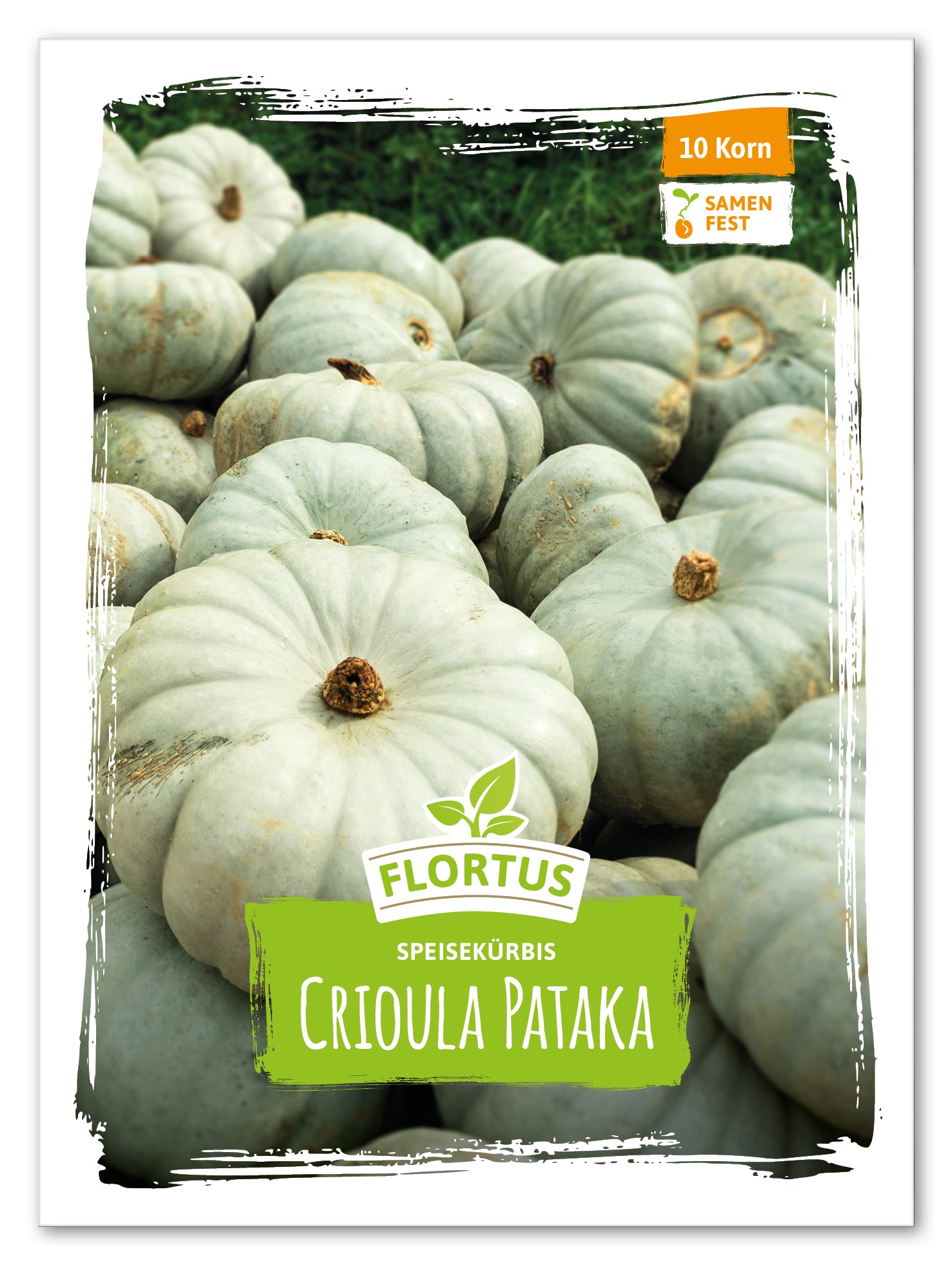  Speisekürbis Crioula Pataka