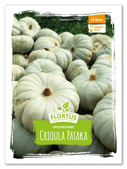  Speisekürbis Crioula Pataka