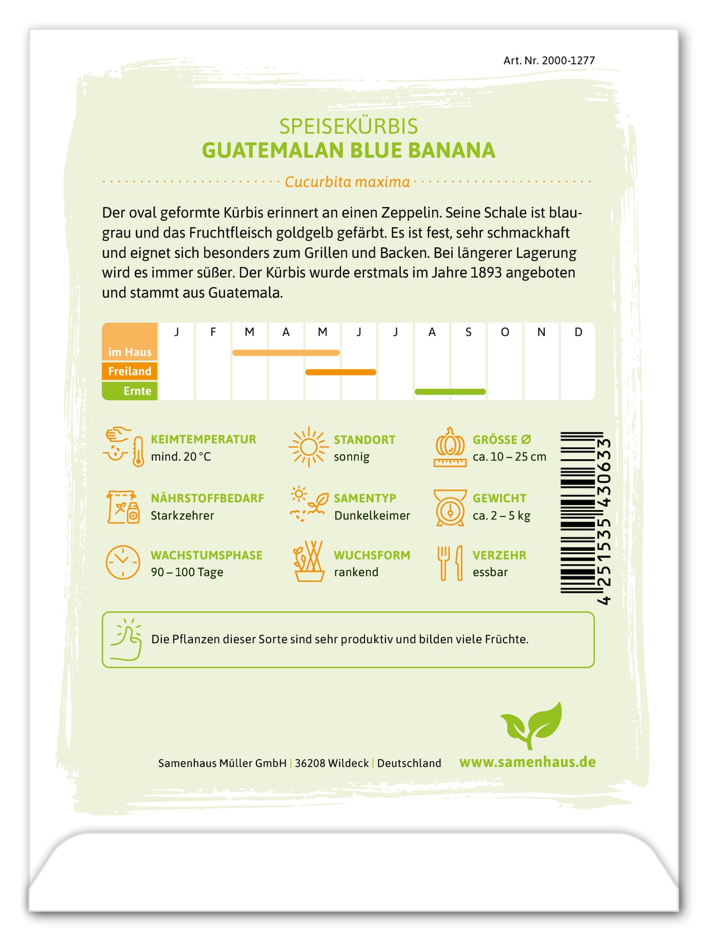  Speisekürbis Guatemalan Blue Banana