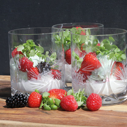  Grow Your Own Kressen Senfkresse