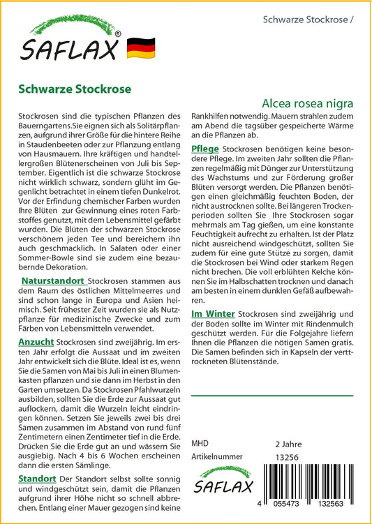  Schwarze Stockrose
