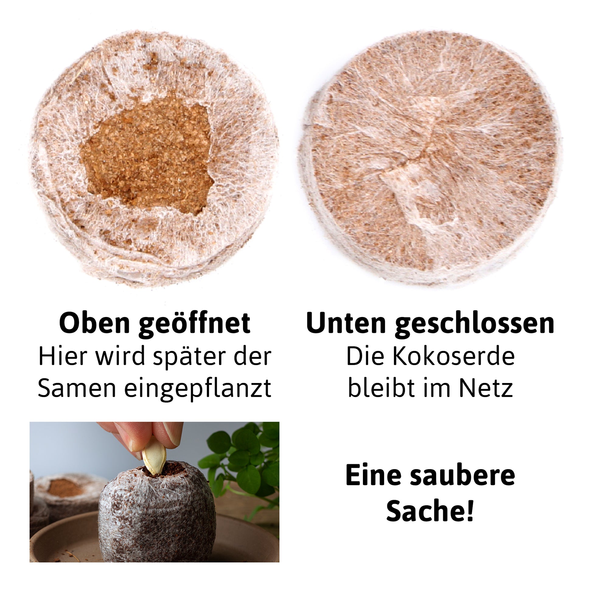  BoQube M & FLORTUS Kokos Quelltöpfe (24 Stück)