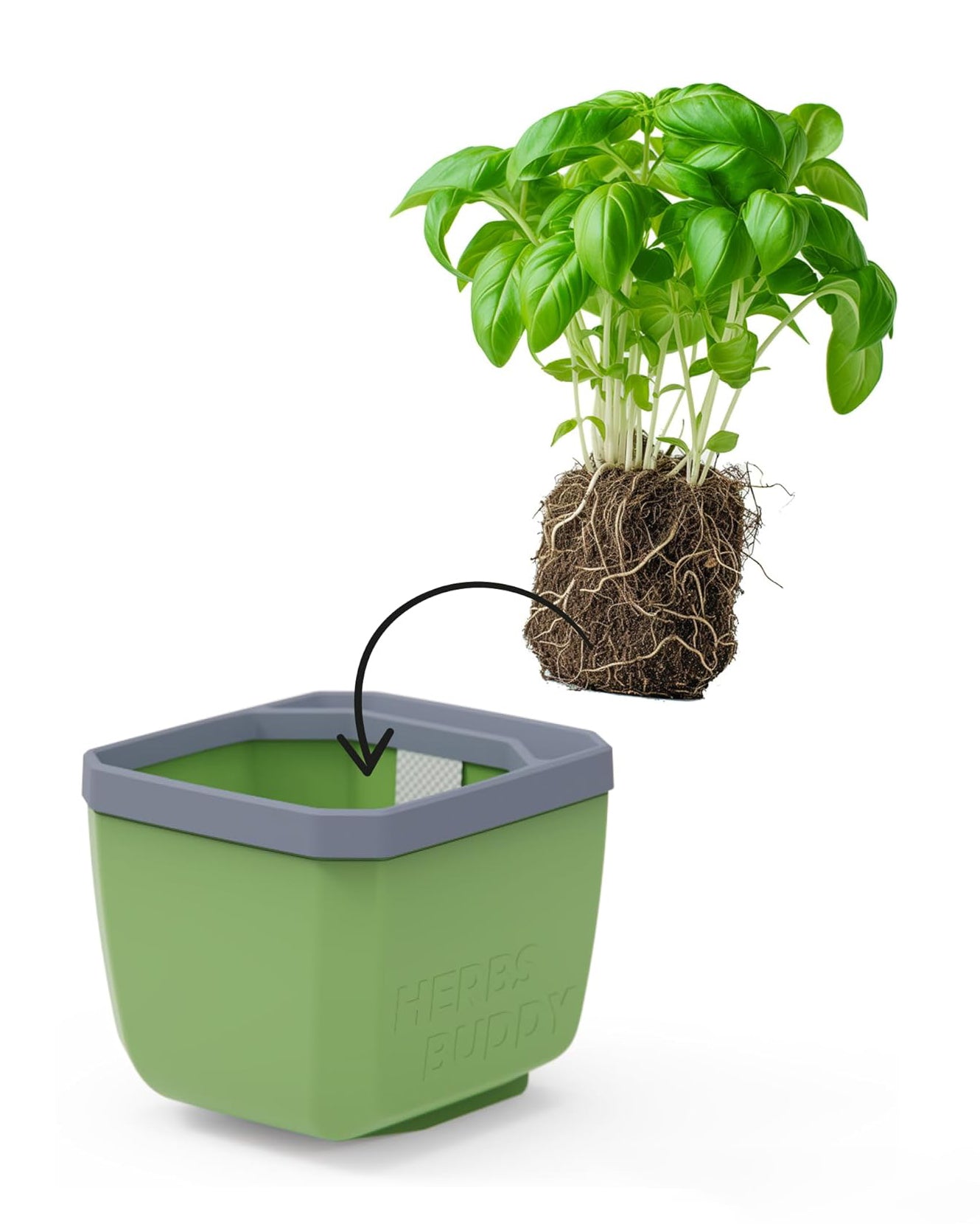  HERBS BUDDY Kräutertopf Dunkelgrün