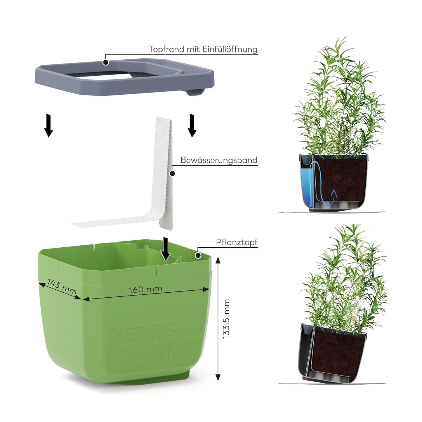  HERBS BUDDY Kräutertopf Dunkelgrün
