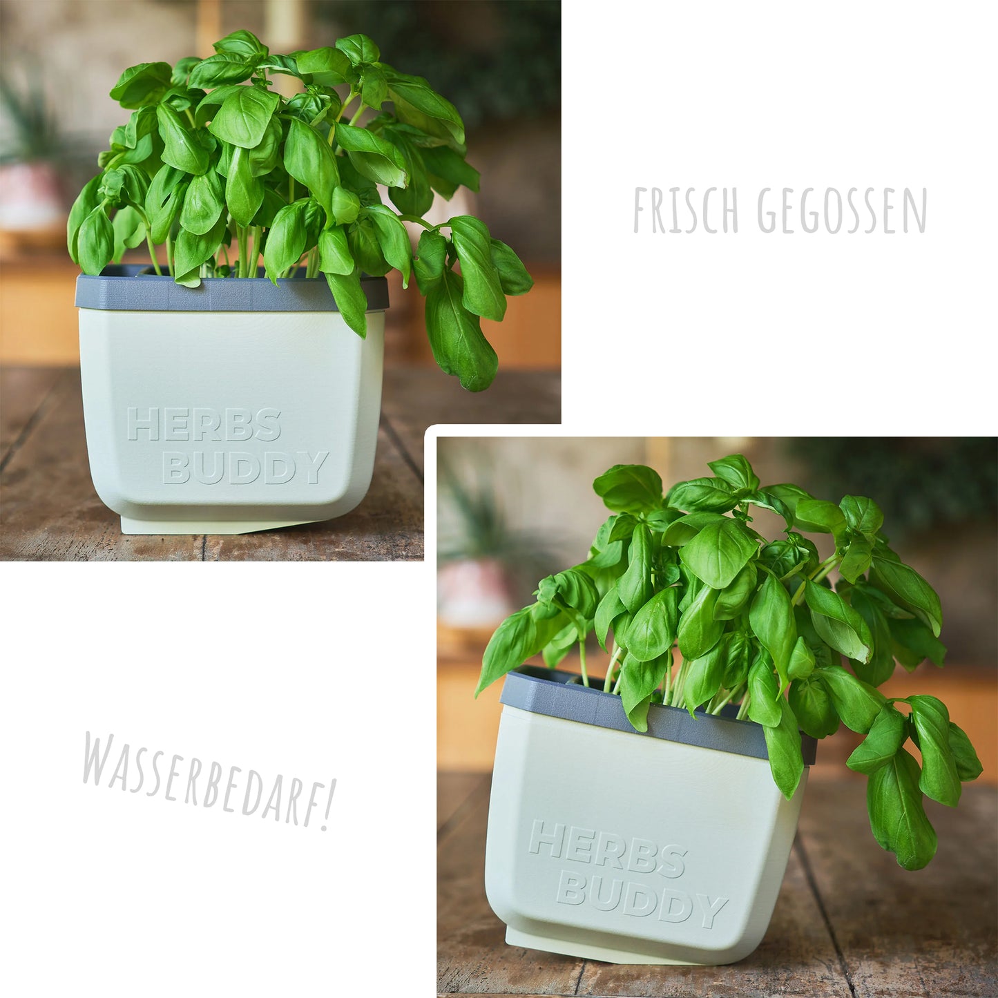  HERBS BUDDY Kräutertopf Blau