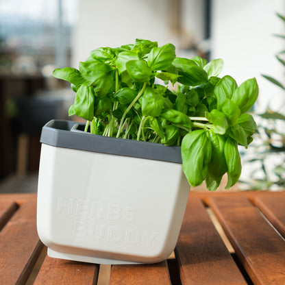  HERBS BUDDY Kräutertopf Weiß