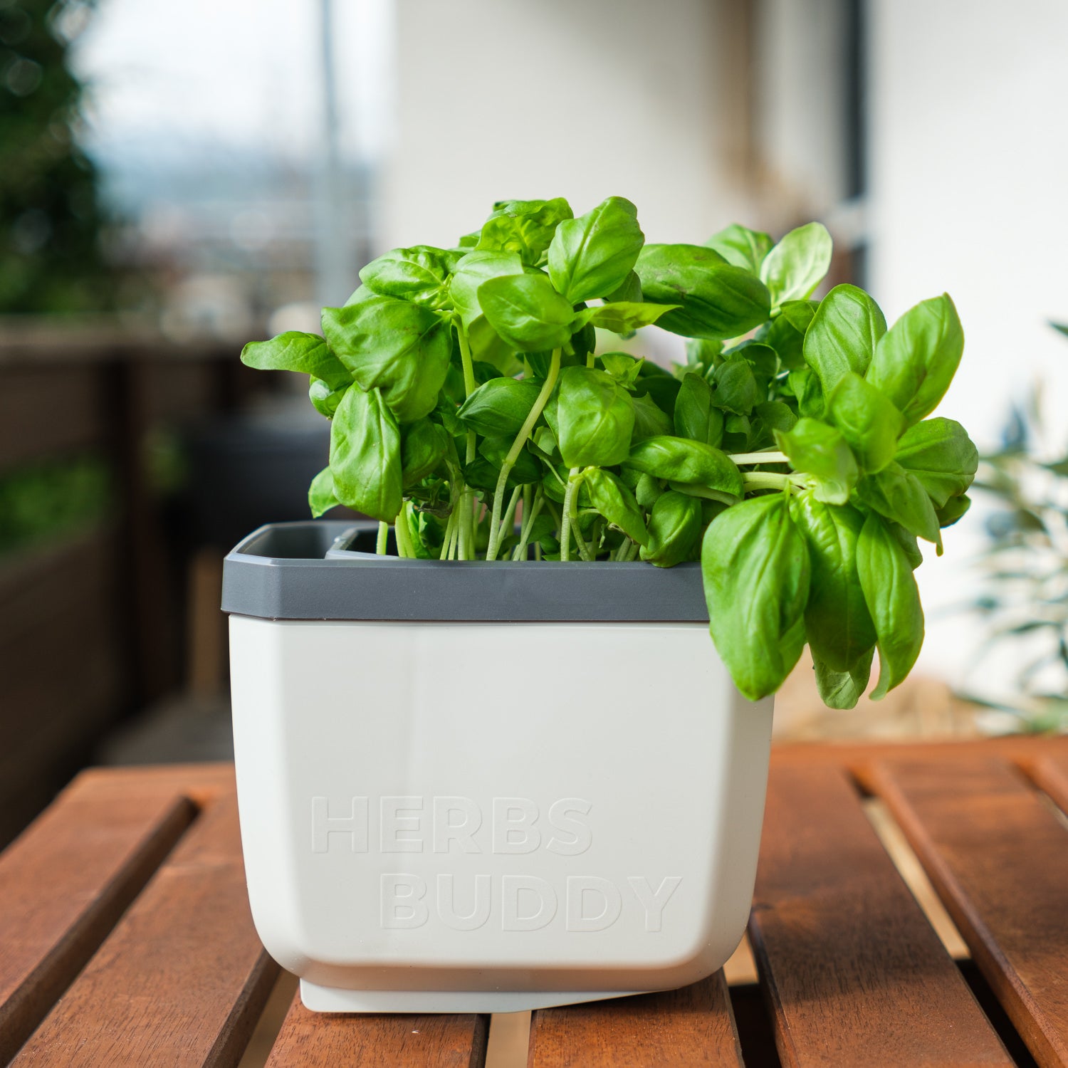  HERBS BUDDY Kräutertopf Weiß